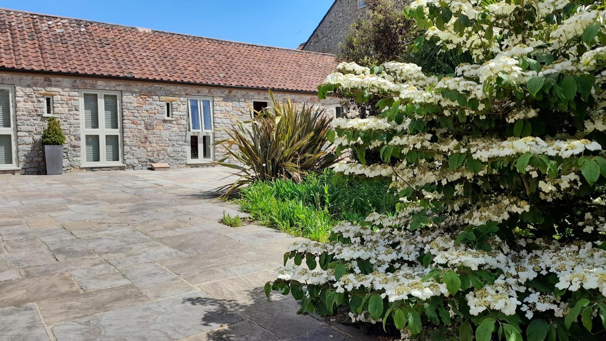 Luxury Barn Conversion Wells Extérieur photo